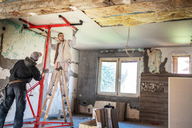Insulation Contractors for Homes in Waterloo, IL