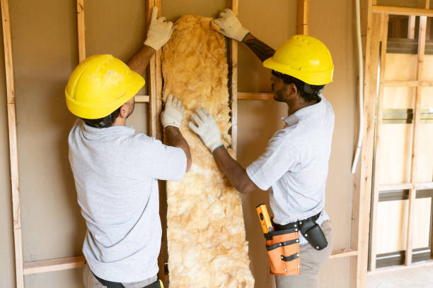 Best Affordable Insulation Services  in Waterloo, IL