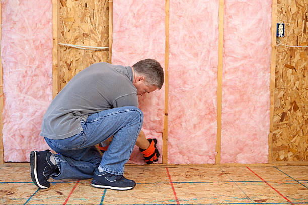 Insulation Inspection Services in Waterloo, IL